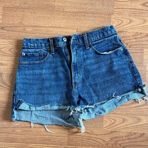Abercrombie Mom Short Curve 28 Women Shorts